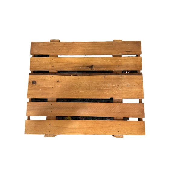 Thomas Pacconi Classics 20‎ Glass Christmas Ornaments N Wood Crate 2007 - Picture 10 of 11